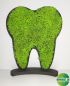 Preview: Moss sign moss tooth dentist pictogram