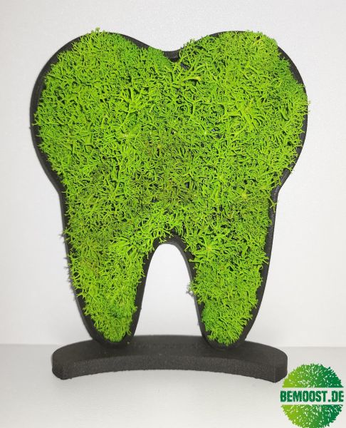 Moss sign moss tooth dentist pictogram